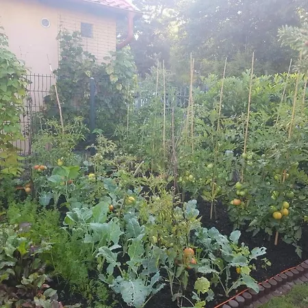 In Mit Grossem Garten By Interhome Apartment *