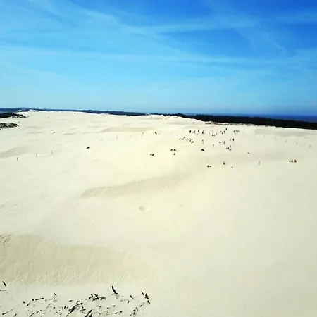 In Mit Grossem Garten By Interhome Apartment Zarnowska