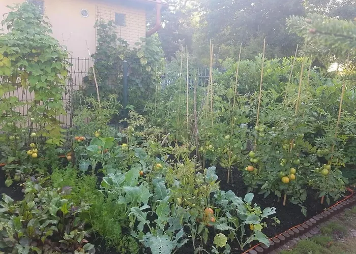 In Mit Grossem Garten By Interhome Apartment *