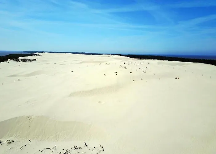 In Mit Grossem Garten By Interhome Apartment Zarnowska